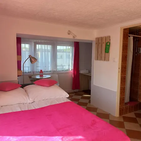 Dom Goscinny Raido Gdynia Room photo