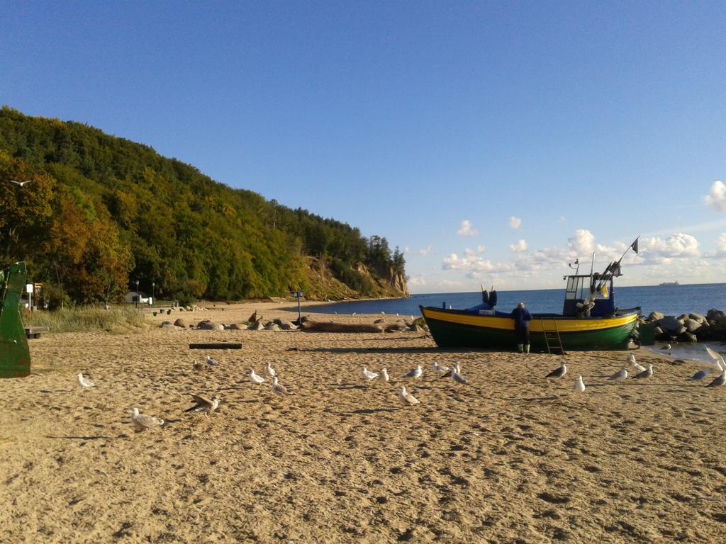 Dom Goscinny Raido Homestay