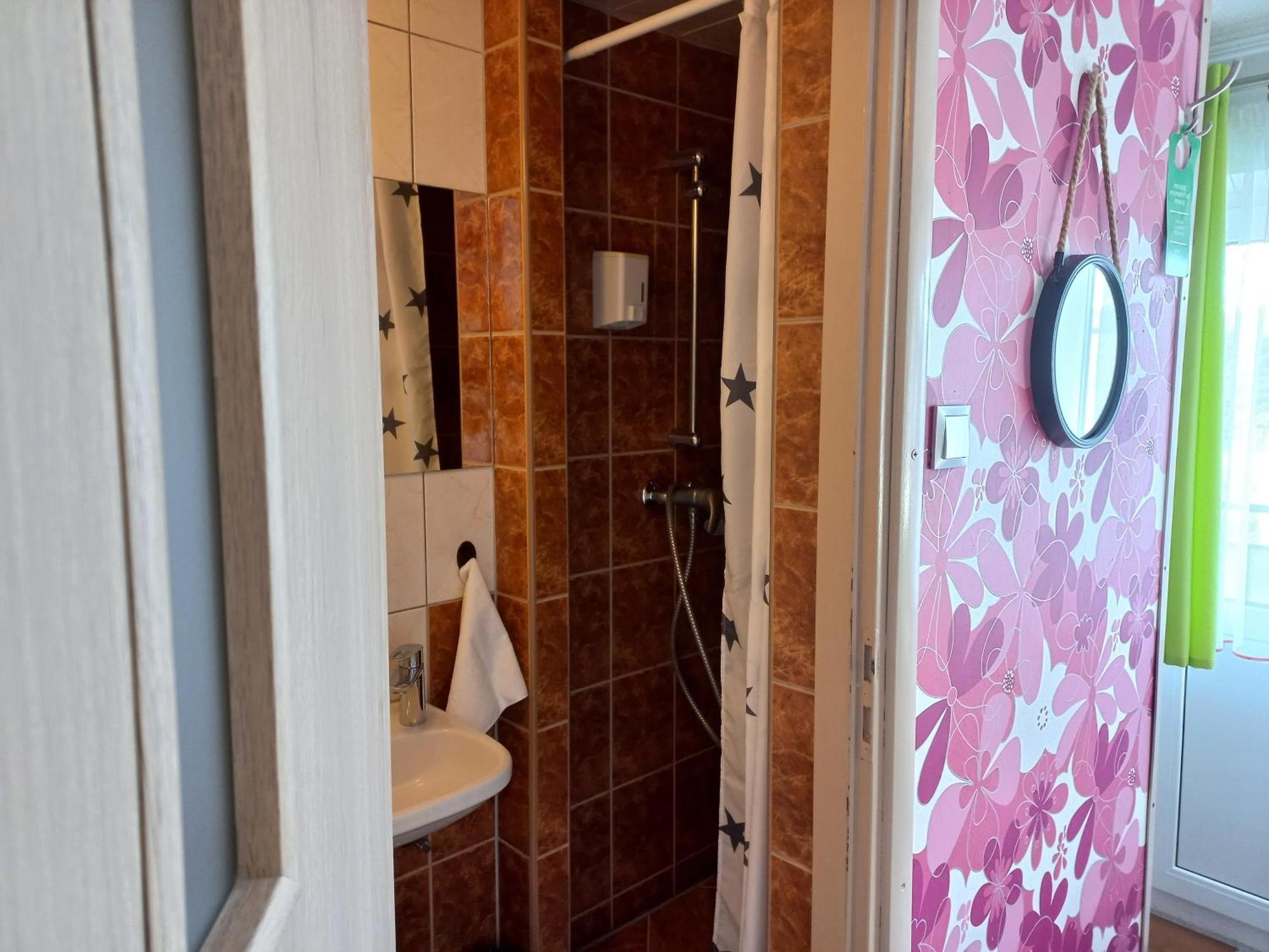 Dom Goscinny Raido Homestay *